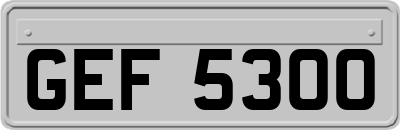 GEF5300