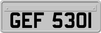 GEF5301