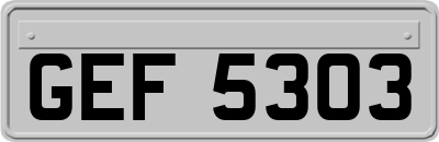 GEF5303