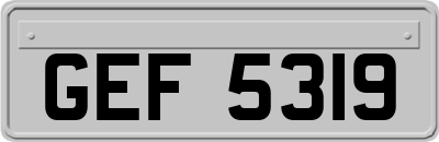 GEF5319