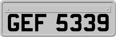 GEF5339