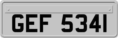 GEF5341