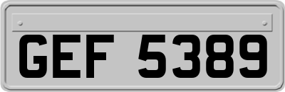 GEF5389