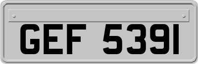 GEF5391