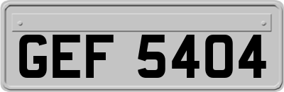 GEF5404