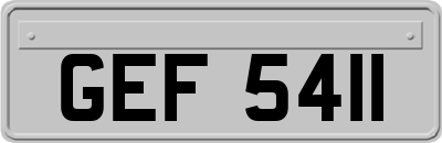 GEF5411