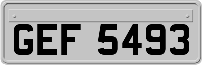 GEF5493