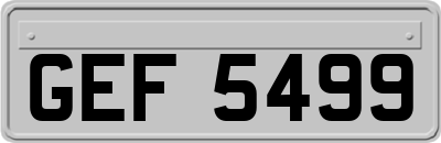 GEF5499