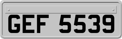 GEF5539