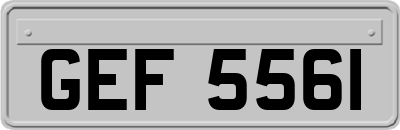 GEF5561