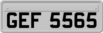 GEF5565
