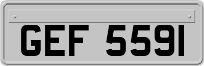 GEF5591