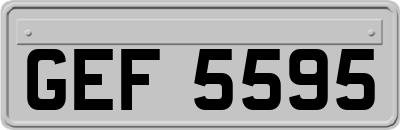 GEF5595