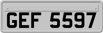 GEF5597