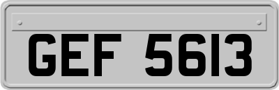 GEF5613