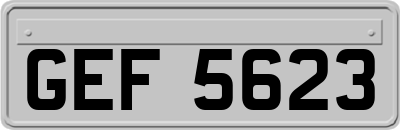 GEF5623