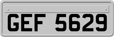 GEF5629