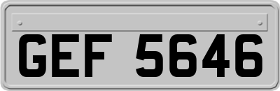 GEF5646
