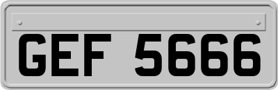 GEF5666