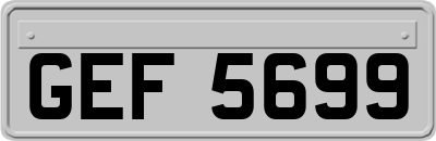 GEF5699