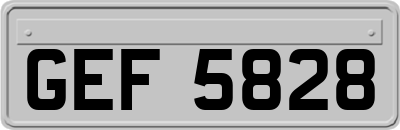 GEF5828