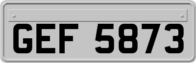GEF5873