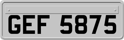GEF5875