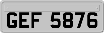 GEF5876