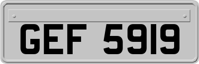 GEF5919