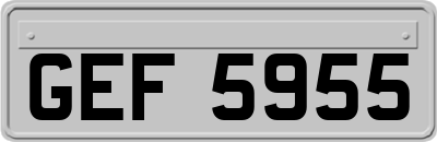 GEF5955