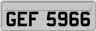 GEF5966