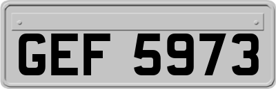 GEF5973