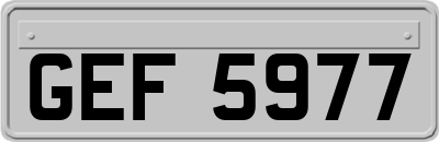GEF5977