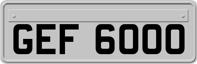 GEF6000