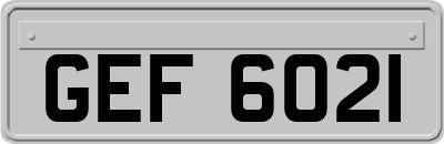 GEF6021