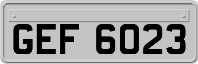 GEF6023