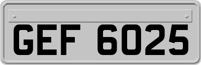 GEF6025