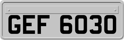 GEF6030