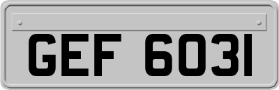 GEF6031