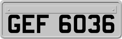 GEF6036