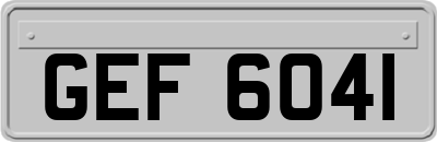 GEF6041