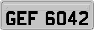 GEF6042