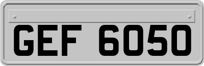 GEF6050