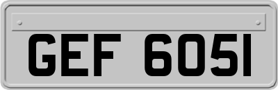 GEF6051