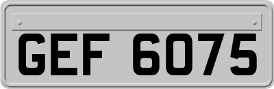 GEF6075
