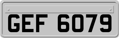 GEF6079