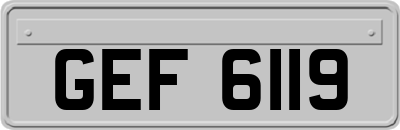 GEF6119