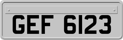 GEF6123