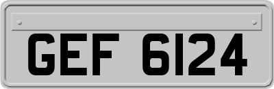 GEF6124
