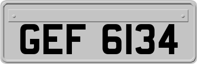 GEF6134